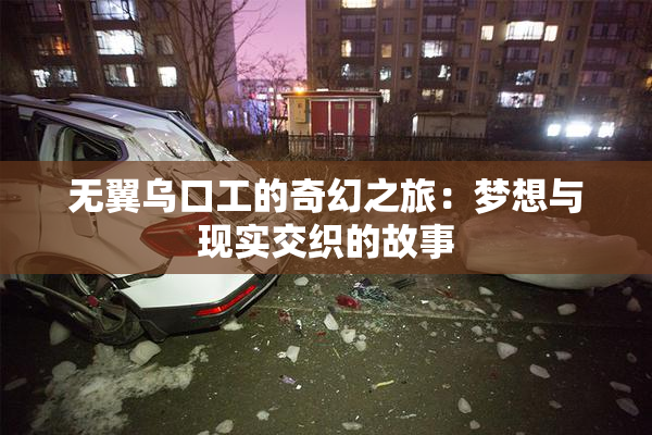 无翼乌口工的奇幻之旅：梦想与现实交织的故事