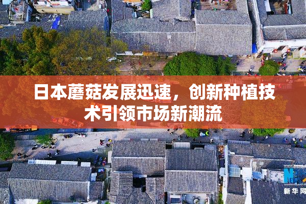 日本蘑菇发展迅速，创新种植技术引领市场新潮流