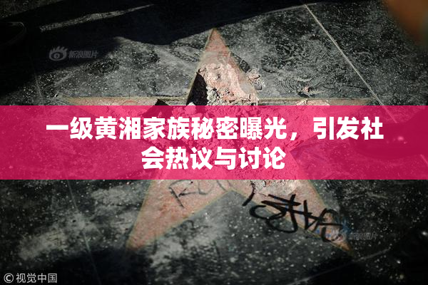 一级黄湘家族秘密曝光，引发社会热议与讨论