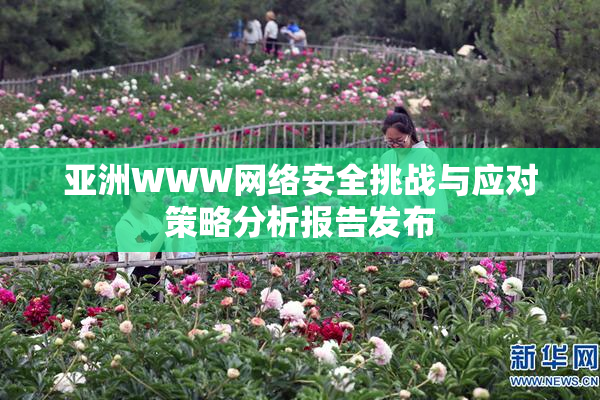 亚洲WWW网络安全挑战与应对策略分析报告发布