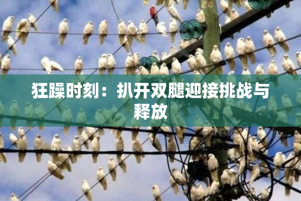 狂躁时刻：扒开双腿迎接挑战与释放