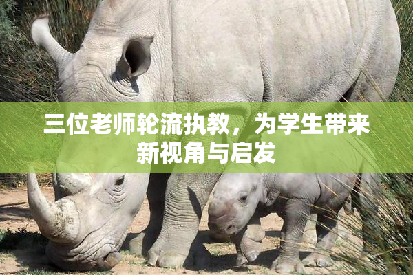 三位老师轮流执教，为学生带来新视角与启发