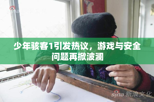 少年骇客1引发热议，游戏与安全问题再掀波澜