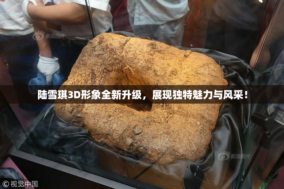 陆雪琪3D形象全新升级，展现独特魅力与风采！