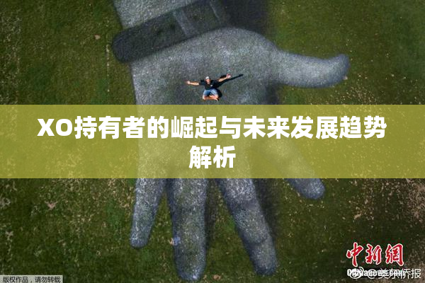 XO持有者的崛起与未来发展趋势解析