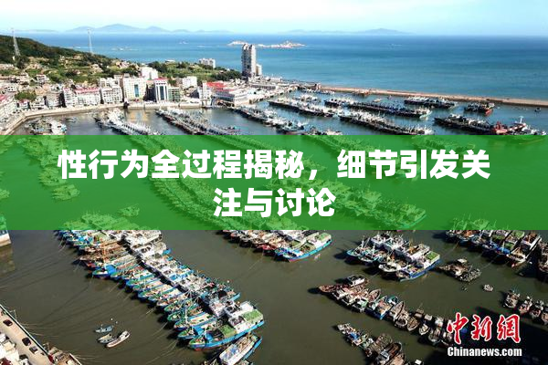 性行为全过程揭秘，细节引发关注与讨论