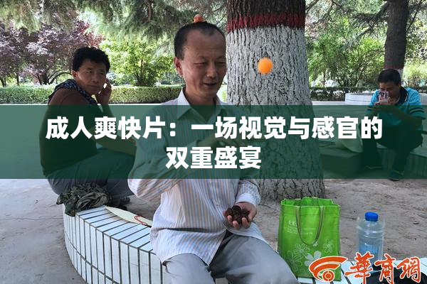 成人爽快片：一场视觉与感官的双重盛宴