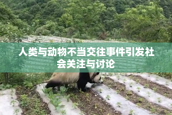 人类与动物不当交往事件引发社会关注与讨论