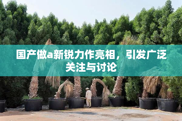 国产做a新锐力作亮相，引发广泛关注与讨论