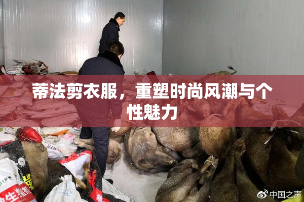 蒂法剪衣服，重塑时尚风潮与个性魅力