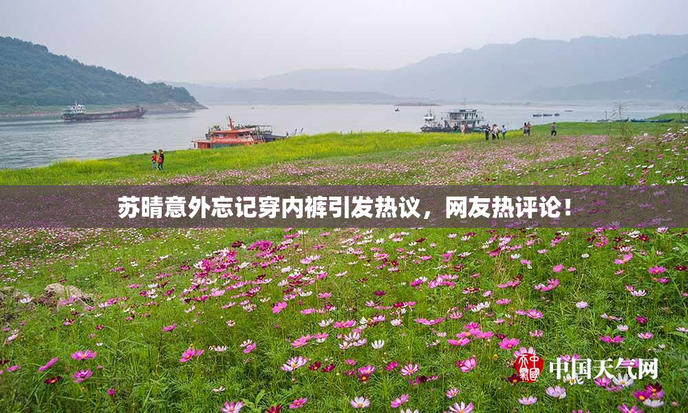 苏晴意外忘记穿内裤引发热议，网友热评论！