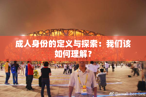 成人身份的定义与探索：我们该如何理解？