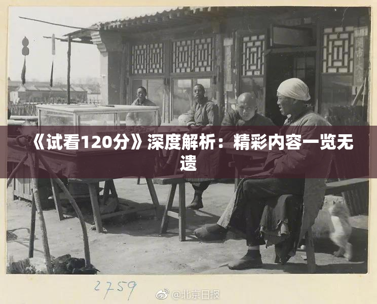 《试看120分》深度解析：精彩内容一览无遗