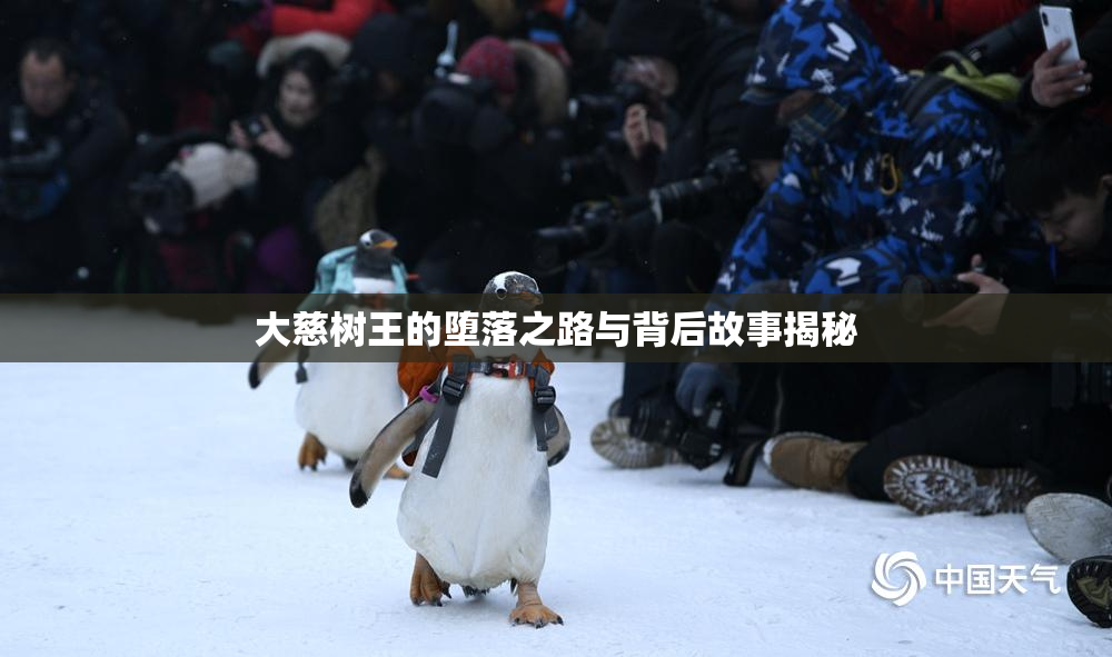 大慈树王的堕落之路与背后故事揭秘