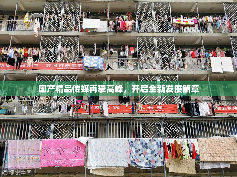 国产精品传媒再攀高峰，开启全新发展篇章