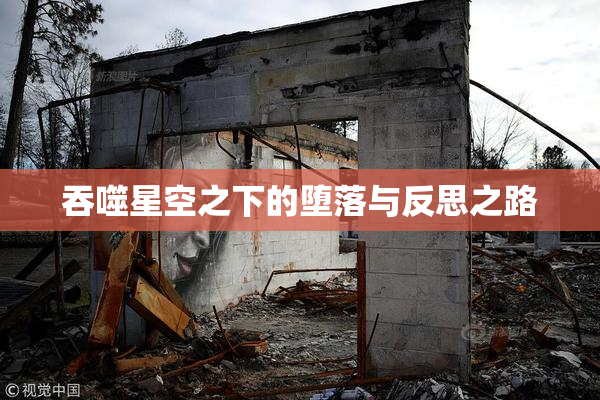 吞噬星空之下的堕落与反思之路