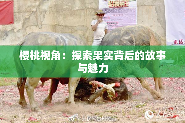 樱桃视角：探索果实背后的故事与魅力