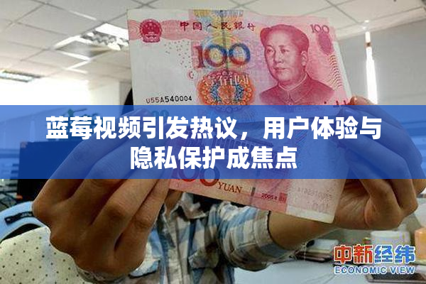 蓝莓视频引发热议，用户体验与隐私保护成焦点