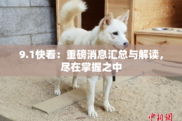 9.1快看：重磅消息汇总与解读，尽在掌握之中