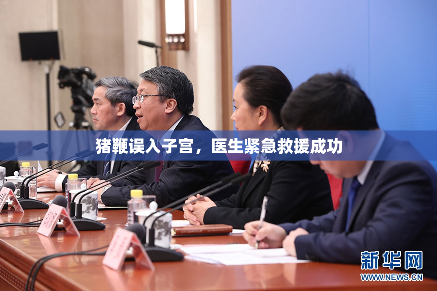猪鞭误入子宫，医生紧急救援成功