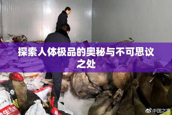 探索人体极品的奥秘与不可思议之处
