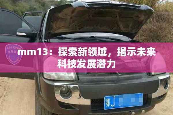 mm13：探索新领域，揭示未来科技发展潜力