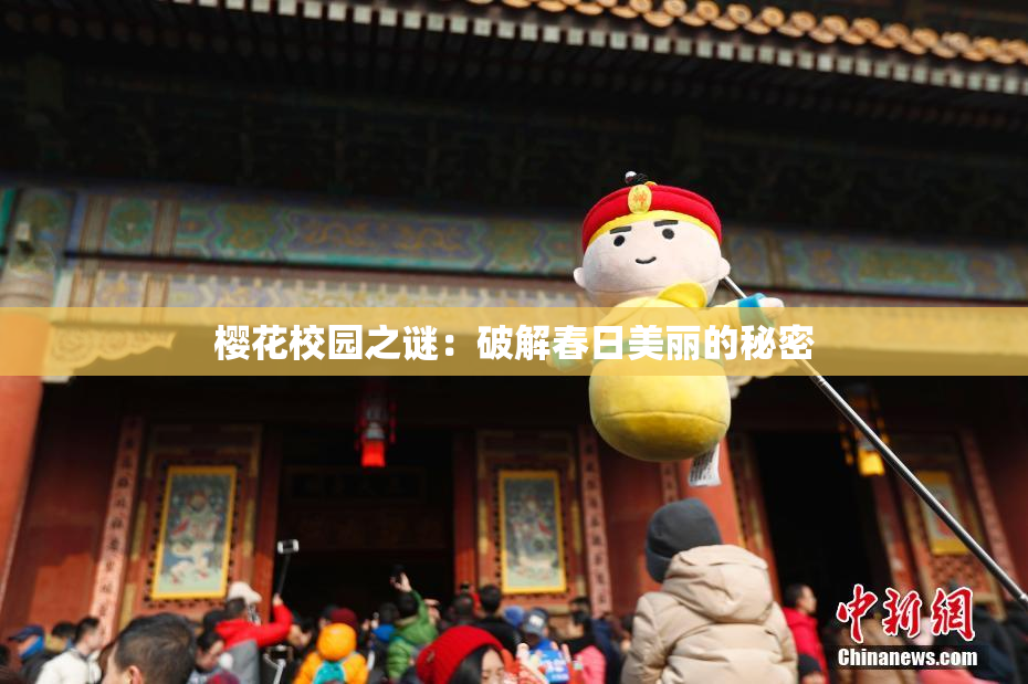 樱花校园之谜：破解春日美丽的秘密