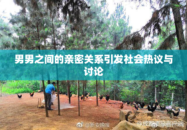 男男之间的亲密关系引发社会热议与讨论