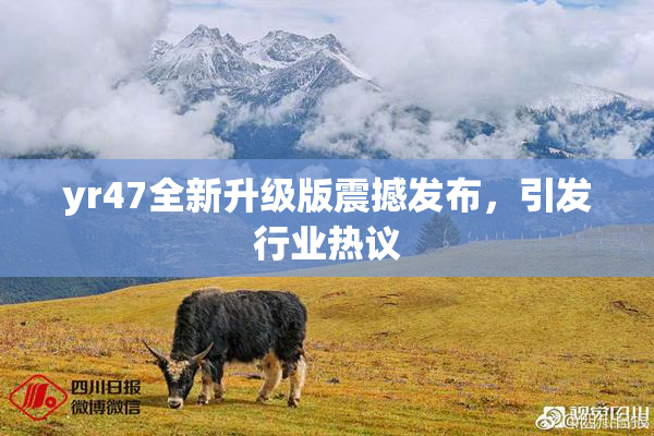 yr47全新升级版震撼发布，引发行业热议