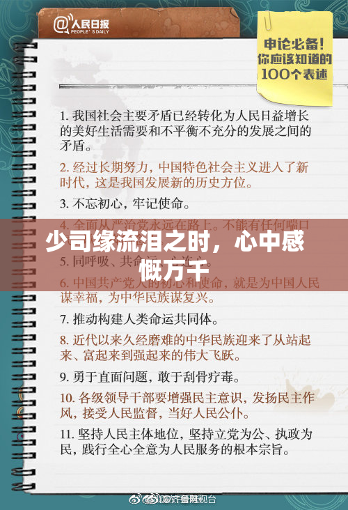 少司缘流泪之时，心中感慨万千