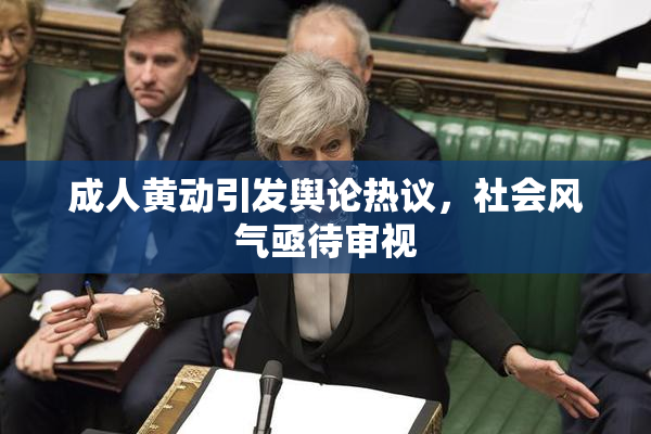 成人黄动引发舆论热议，社会风气亟待审视