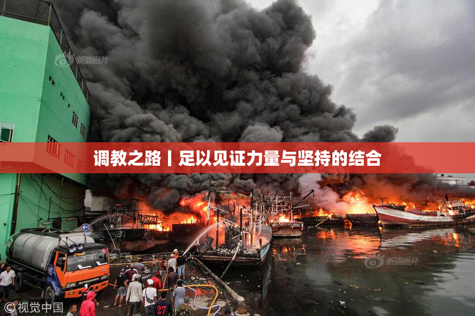 调教之路丨足以见证力量与坚持的结合