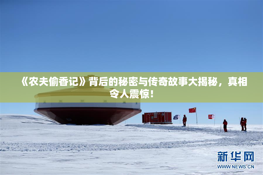 《农夫偷香记》背后的秘密与传奇故事大揭秘，真相令人震惊！