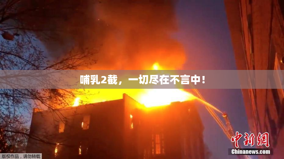 哺乳2截，一切尽在不言中！