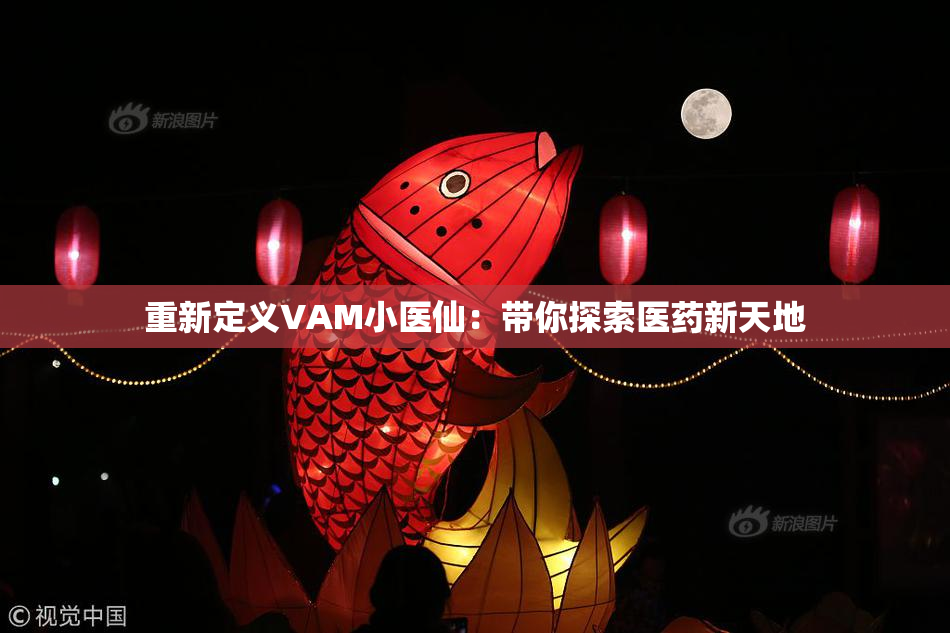 重新定义VAM小医仙：带你探索医药新天地
