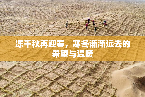 冻千秋再迎春，寒冬渐渐远去的希望与温暖