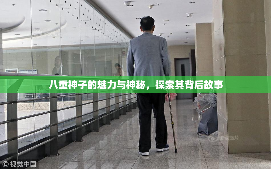 八重神子的魅力与神秘，探索其背后故事