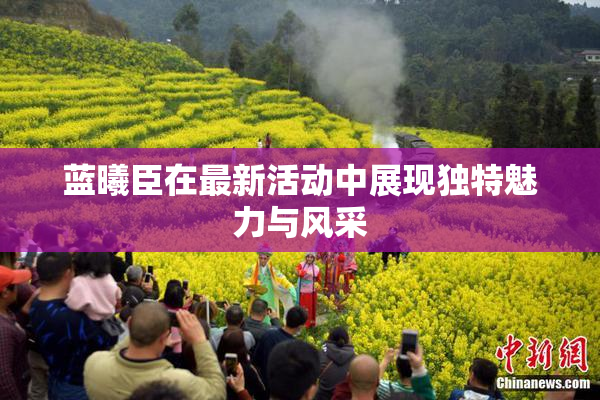 蓝曦臣在最新活动中展现独特魅力与风采