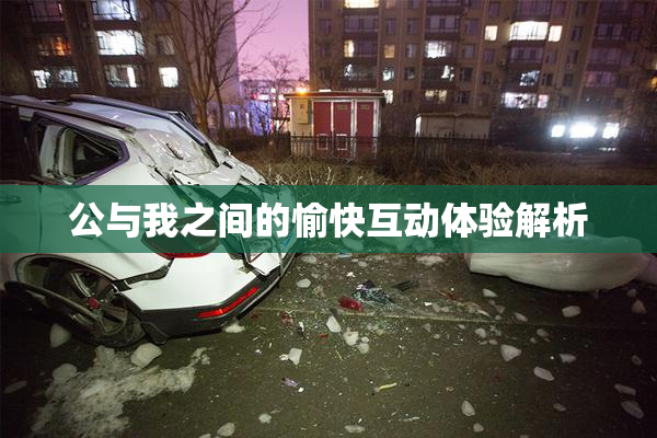 公与我之间的愉快互动体验解析
