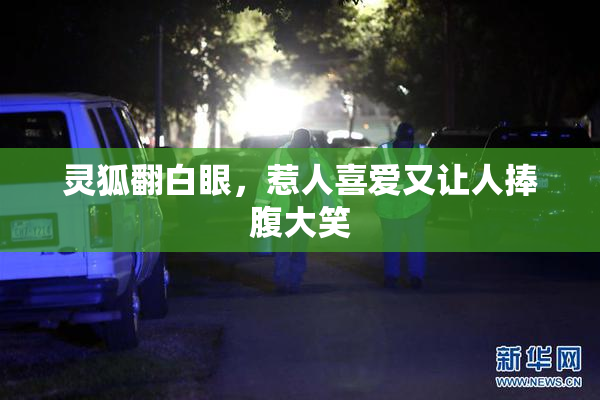 灵狐翻白眼，惹人喜爱又让人捧腹大笑
