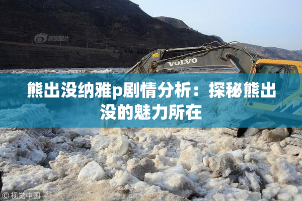熊出没纳雅p剧情分析：探秘熊出没的魅力所在