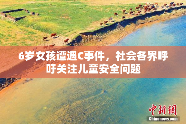 6岁女孩遭遇C事件，社会各界呼吁关注儿童安全问题