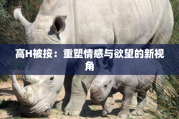 高H被按：重塑情感与欲望的新视角