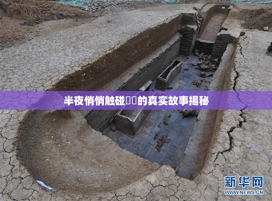 半夜悄悄触碰妺妺的真实故事揭秘