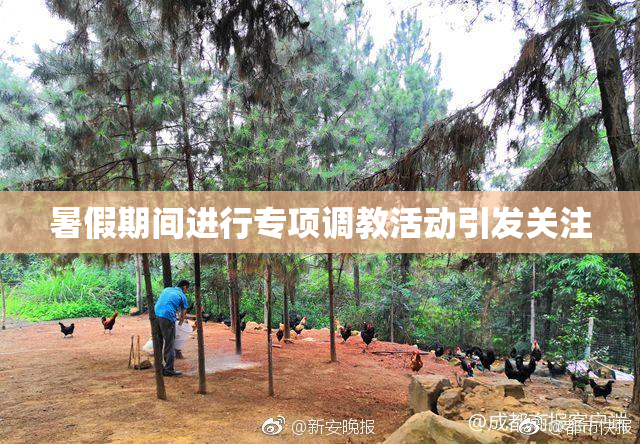 暑假期间进行专项调教活动引发关注