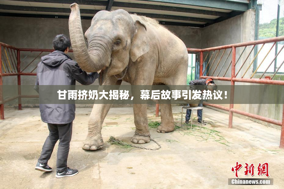 甘雨挤奶大揭秘，幕后故事引发热议！