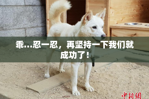 乖…忍一忍，再坚持一下我们就成功了！