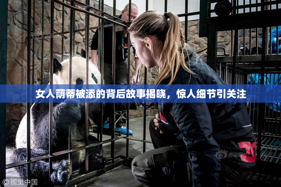 女人荫蒂被添的背后故事揭晓，惊人细节引关注