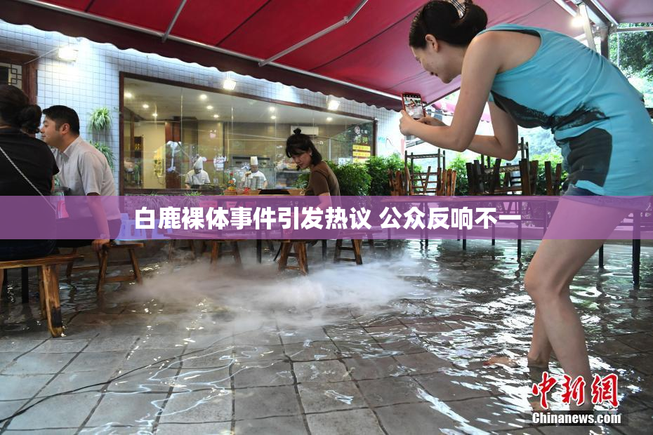 白鹿裸体事件引发热议 公众反响不一