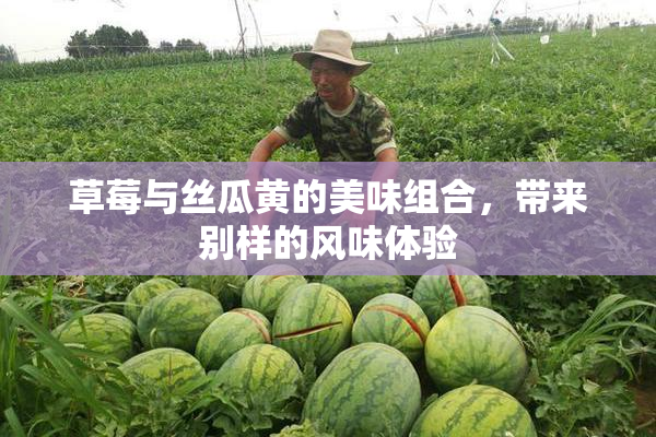 草莓与丝瓜黄的美味组合，带来别样的风味体验